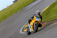 PJ-Motorsport-2019;anglesey-no-limits-trackday;anglesey-photographs;anglesey-trackday-photographs;enduro-digital-images;event-digital-images;eventdigitalimages;no-limits-trackdays;peter-wileman-photography;racing-digital-images;trac-mon;trackday-digital-images;trackday-photos;ty-croes